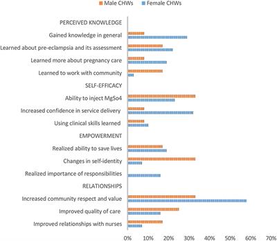 How Gender Influenced the Experience of Using a mHealth Intervention in Rural Mozambique: Secondary Qualitative Analysis of Community Health Worker Survey Data